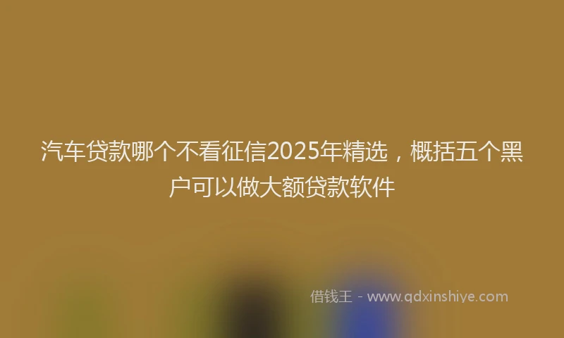汽车贷款哪个不看征信2025年精选，概括五个黑户可以做大额贷款软件