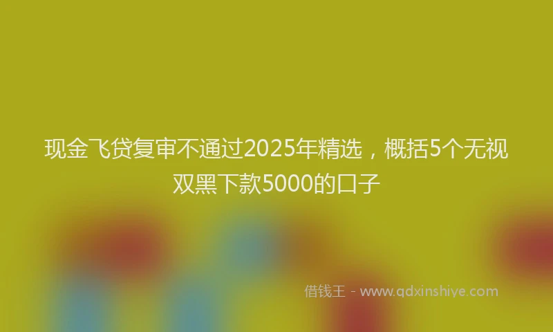 现金飞贷复审不通过2025年精选，概括5个无视双黑下款5000的口子
