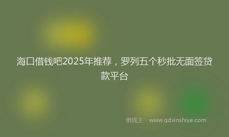 海口借钱吧2025年推荐，罗列五个秒批无面签贷款平台