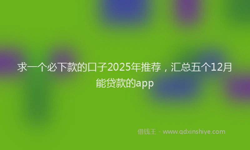 求一个必下款的口子2025年推荐，汇总五个12月能贷款的app