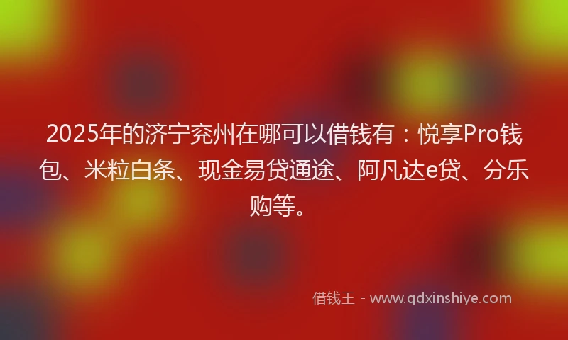 2025年的济宁兖州在哪可以借钱有：悦享Pro钱包、米粒白条、现金易贷通途、阿凡达e贷、分乐购等。