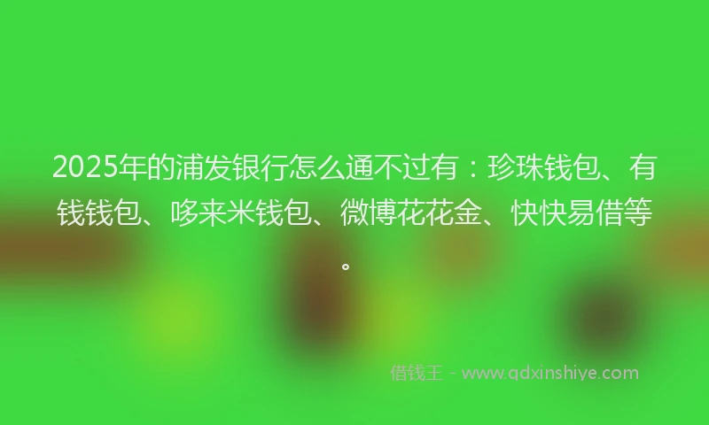 2025年的浦发银行怎么通不过有：珍珠钱包、有钱钱包、哆来米钱包、微博花花金、快快易借等。