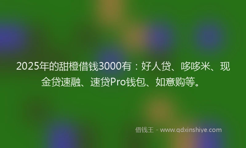 2025年的甜橙借钱3000有：好人贷、哆哆米、现金贷速融、速贷Pro钱包、如意购等。