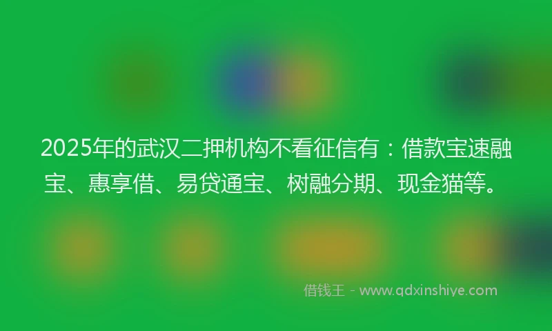 2025年的武汉二押机构不看征信有：借款宝速融宝、惠享借、易贷通宝、树融分期、现金猫等。