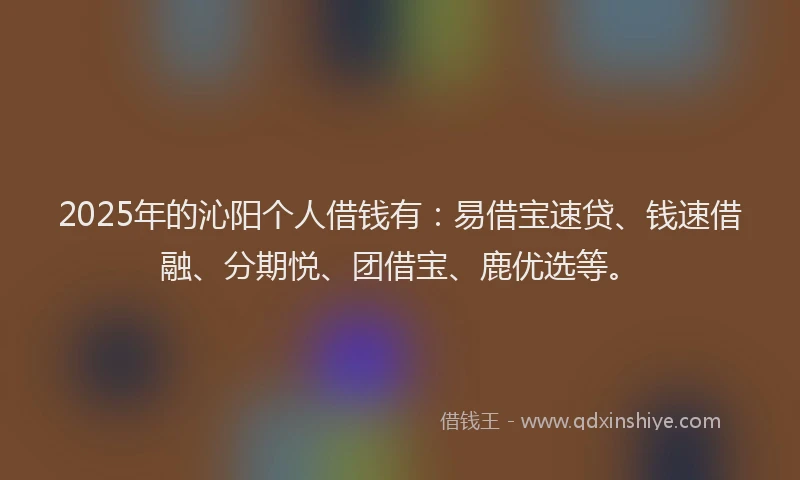 2025年的沁阳个人借钱有：易借宝速贷、钱速借融、分期悦、团借宝、鹿优选等。
