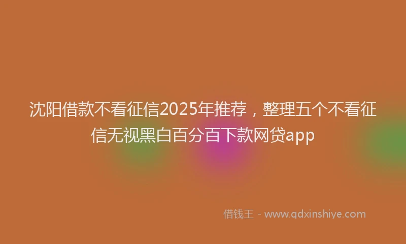 沈阳借款不看征信2025年推荐，整理五个不看征信无视黑白百分百下款网贷app