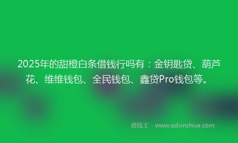 2025年的甜橙白条借钱行吗有：金钥匙贷、葫芦花、维维钱包、全民钱包、鑫贷Pro钱包等。