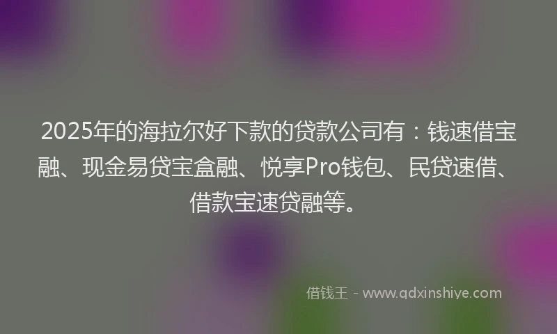 2025年的海拉尔好下款的贷款公司有：钱速借宝融、现金易贷宝盒融、悦享Pro钱包、民贷速借、借款宝速贷融等。