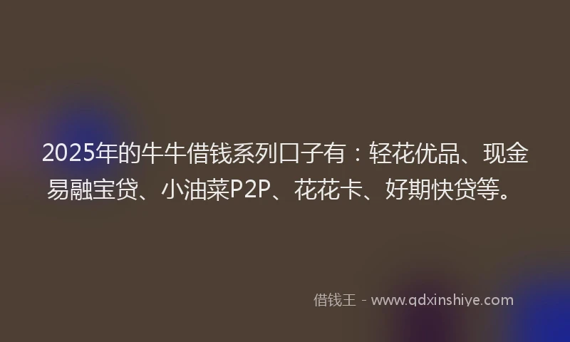 2025年的牛牛借钱系列口子有：轻花优品、现金易融宝贷、小油菜P2P、花花卡、好期快贷等。