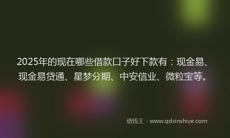 2025年的现在哪些借款口子好下款有：现金易、现金易贷通、星梦分期、中安信业、微粒宝等。