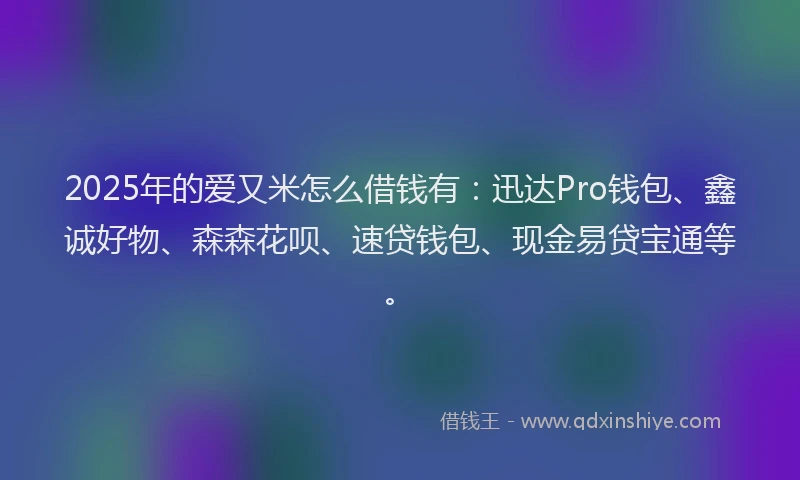 2025年的爱又米怎么借钱有：迅达Pro钱包、鑫诚好物、森森花呗、速贷钱包、现金易贷宝通等。