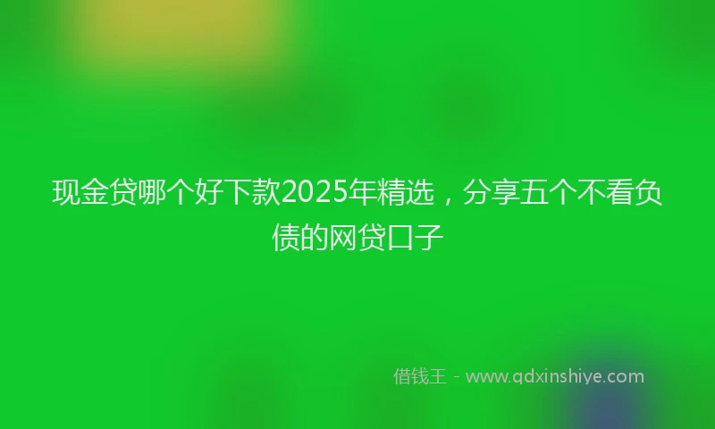 现金贷哪个好下款2025年精选，分享五个不看负债的网贷口子