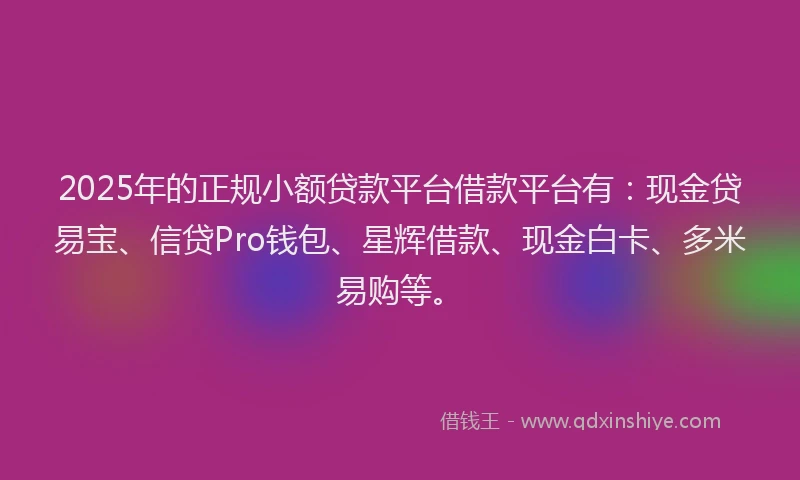 2025年的正规小额贷款平台借款平台有：现金贷易宝、信贷Pro钱包、星辉借款、现金白卡、多米易购等。