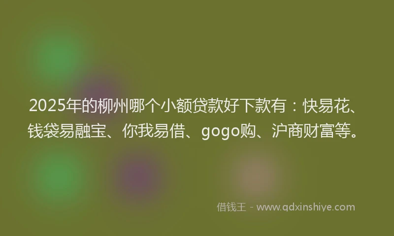 2025年的柳州哪个小额贷款好下款有：快易花、钱袋易融宝、你我易借、gogo购、沪商财富等。