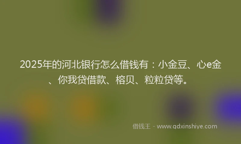 2025年的河北银行怎么借钱有：小金豆、心e金、你我贷借款、榕贝、粒粒贷等。