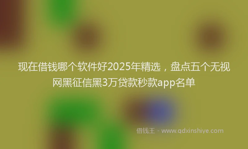 现在借钱哪个软件好2025年精选，盘点五个无视网黑征信黑3万贷款秒款app名单