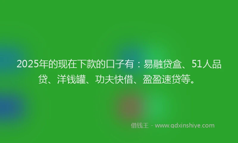 2025年的现在下款的口子有：易融贷盒、51人品贷、洋钱罐、功夫快借、盈盈速贷等。