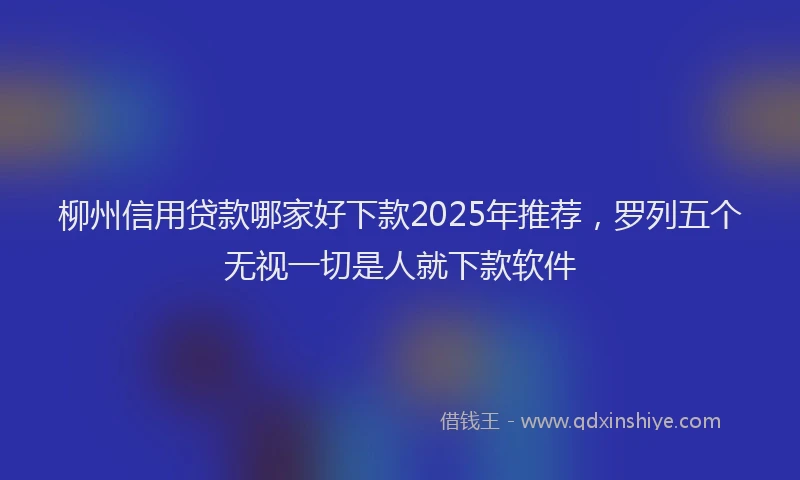 柳州信用贷款哪家好下款2025年推荐，罗列五个无视一切是人就下款软件
