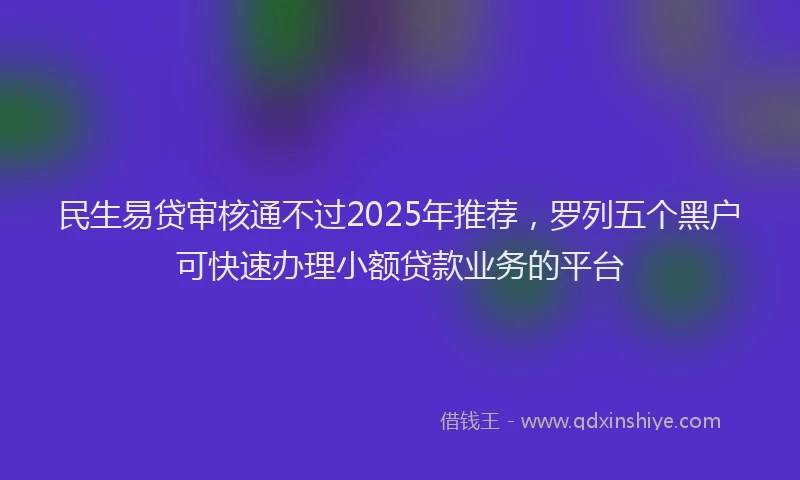 民生易贷审核通不过2025年推荐，罗列五个黑户可快速办理小额贷款业务的平台