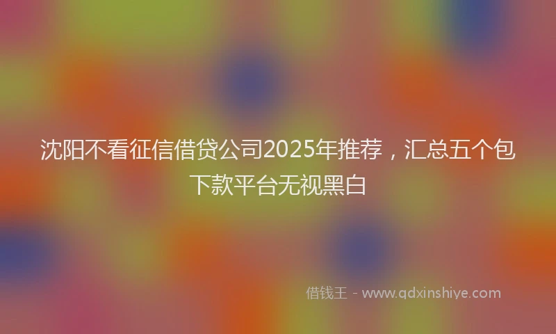 沈阳不看征信借贷公司2025年推荐，汇总五个包下款平台无视黑白