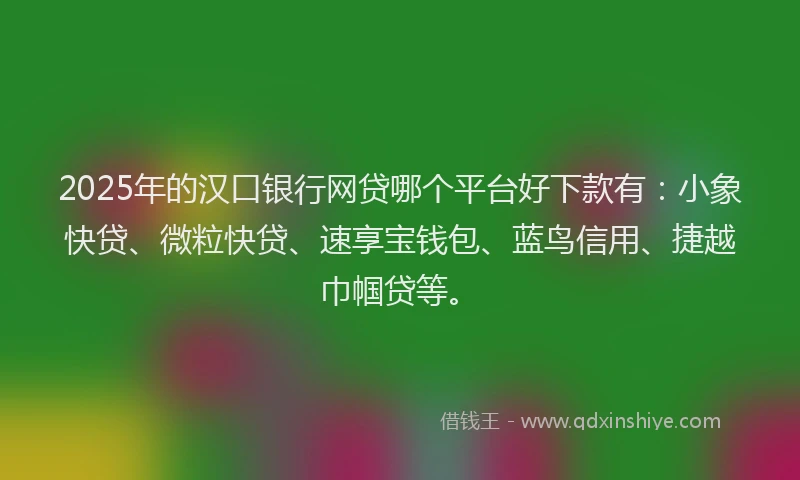 2025年的汉口银行网贷哪个平台好下款有：小象快贷、微粒快贷、速享宝钱包、蓝鸟信用、捷越巾帼贷等。