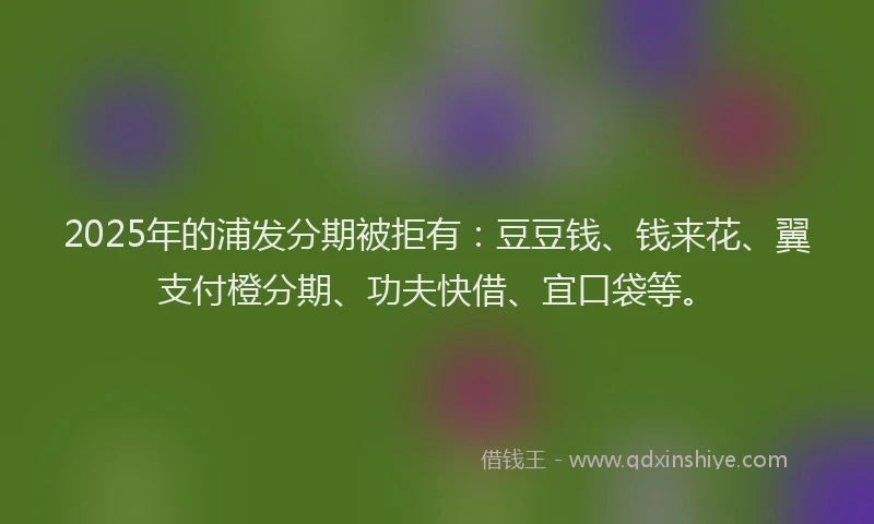 2025年的浦发分期被拒有：豆豆钱、钱来花、翼支付橙分期、功夫快借、宜口袋等。