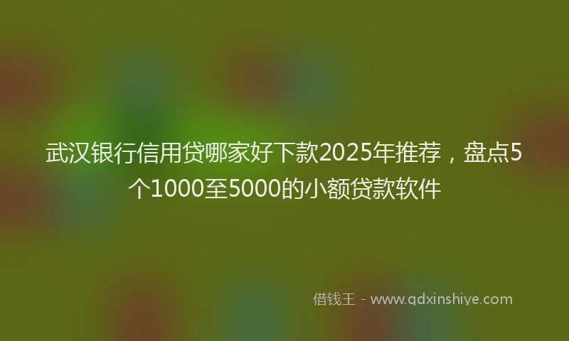 武汉银行信用贷哪家好下款2025年推荐，盘点5个1000至5000的小额贷款软件