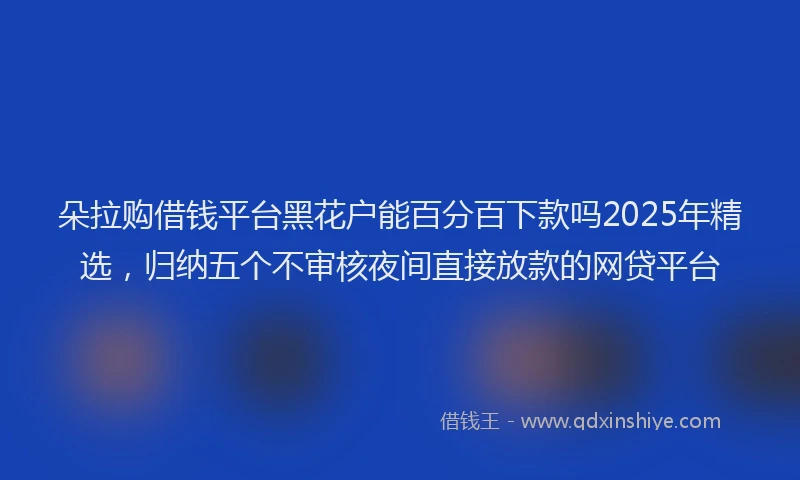 朵拉购借钱平台黑花户能百分百下款吗2025年精选，归纳五个不审核夜间直接放款的网贷平台
