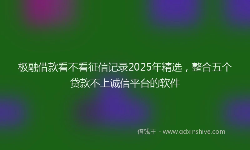 极融借款看不看征信记录2025年精选，整合五个贷款不上诚信平台的软件