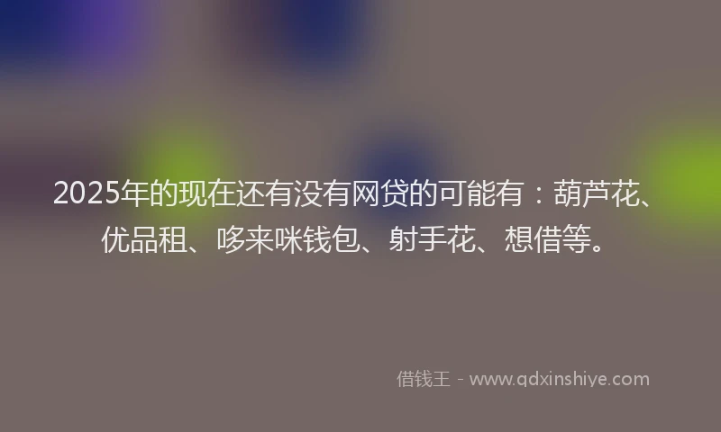 2025年的现在还有没有网贷的可能有：葫芦花、优品租、哆来咪钱包、射手花、想借等。