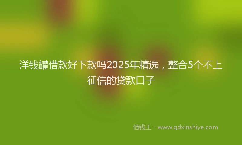 洋钱罐借款好下款吗2025年精选，整合5个不上征信的贷款口子