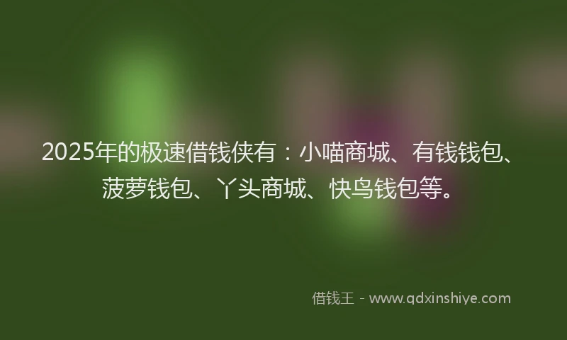 2025年的极速借钱侠有：小喵商城、有钱钱包、菠萝钱包、丫头商城、快鸟钱包等。