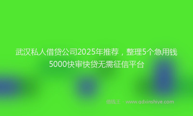 武汉私人借贷公司2025年推荐，整理5个急用钱5000快审快贷无需征信平台