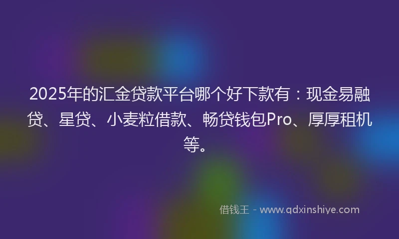 2025年的汇金贷款平台哪个好下款有：现金易融贷、星贷、小麦粒借款、畅贷钱包Pro、厚厚租机等。