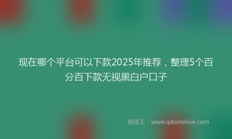现在哪个平台可以下款2025年推荐，整理5个百分百下款无视黑白户口子