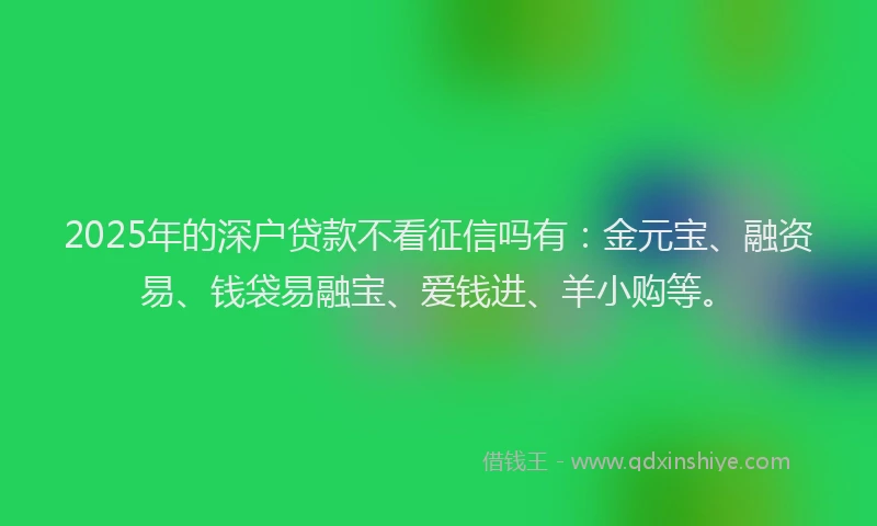 2025年的深户贷款不看征信吗有：金元宝、融资易、钱袋易融宝、爱钱进、羊小购等。