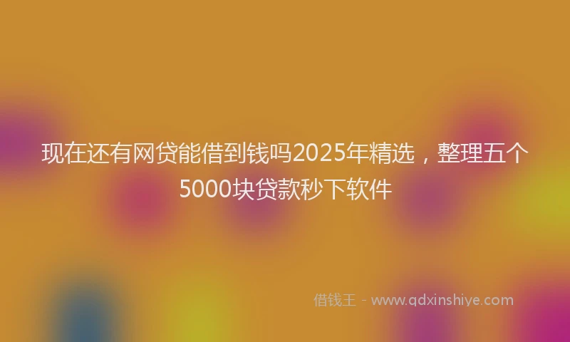 现在还有网贷能借到钱吗2025年精选，整理五个5000块贷款秒下软件
