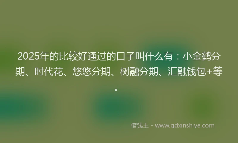 2025年的比较好通过的口子叫什么有：小金鹤分期、时代花、悠悠分期、树融分期、汇融钱包+等。