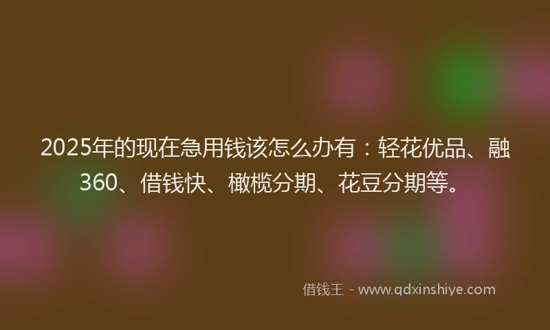 2025年的现在急用钱该怎么办有：轻花优品、融360、借钱快、橄榄分期、花豆分期等。