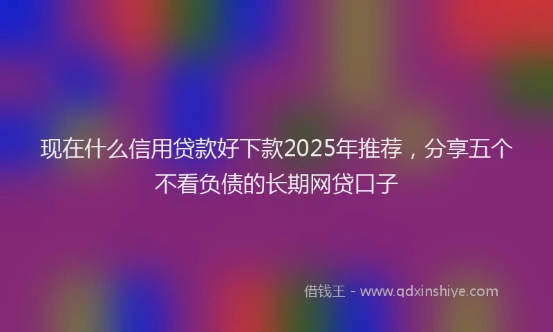 现在什么信用贷款好下款2025年推荐，分享五个不看负债的长期网贷口子