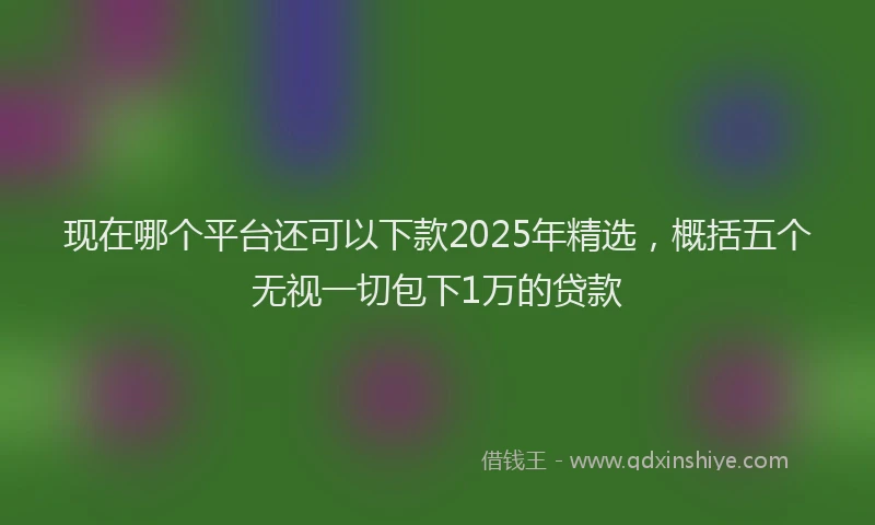 现在哪个平台还可以下款2025年精选，概括五个无视一切包下1万的贷款