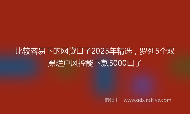 比较容易下的网贷口子2025年精选，罗列5个双黑烂户风控能下款5000口子