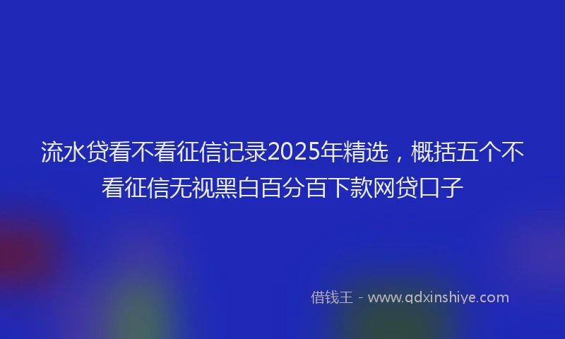 流水贷看不看征信记录2025年精选，概括五个不看征信无视黑白百分百下款网贷口子