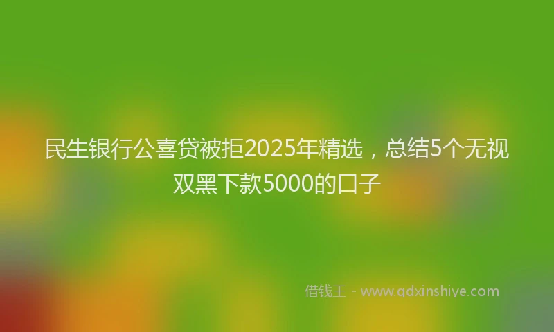 民生银行公喜贷被拒2025年精选，总结5个无视双黑下款5000的口子