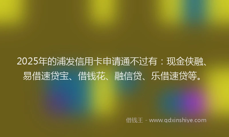 2025年的浦发信用卡申请通不过有：现金侠融、易借速贷宝、借钱花、融信贷、乐借速贷等。