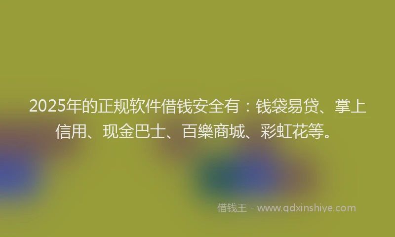 2025年的正规软件借钱安全有：钱袋易贷、掌上信用、现金巴士、百樂商城、彩虹花等。