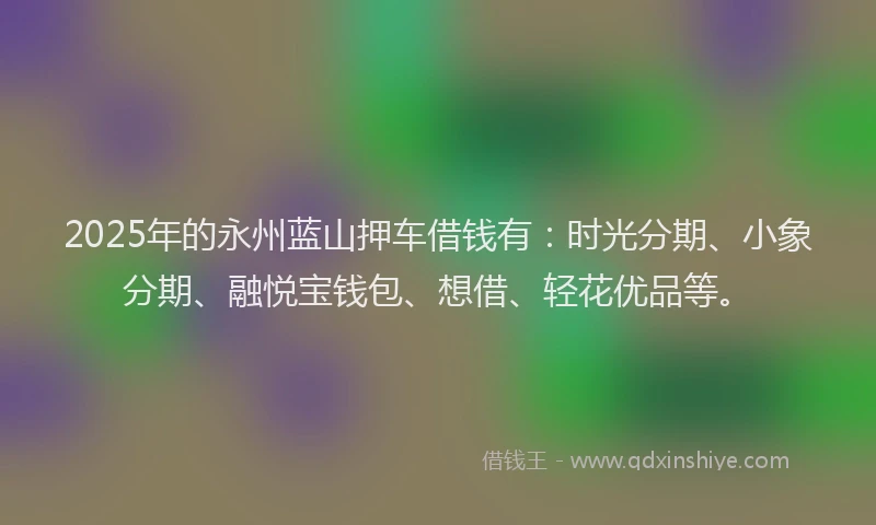 2025年的永州蓝山押车借钱有：时光分期、小象分期、融悦宝钱包、想借、轻花优品等。