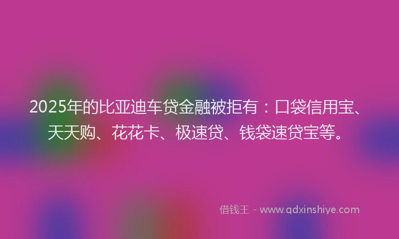 2025年的比亚迪车贷金融被拒有：口袋信用宝、天天购、花花卡、极速贷、钱袋速贷宝等。