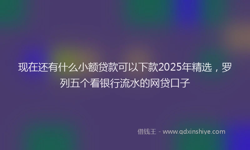 现在还有什么小额贷款可以下款2025年精选，罗列五个看银行流水的网贷口子