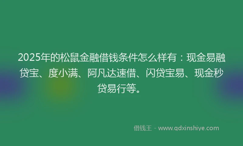 2025年的松鼠金融借钱条件怎么样有：现金易融贷宝、度小满、阿凡达速借、闪贷宝易、现金秒贷易行等。